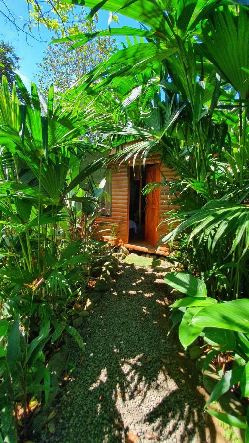 Arenal Rustic Lodge Алахуела Екстер'єр фото