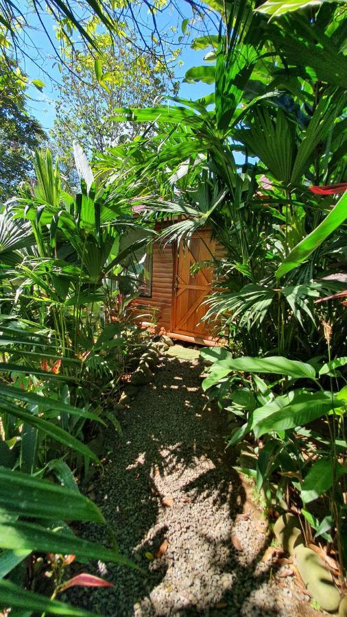 Arenal Rustic Lodge Алахуела Екстер'єр фото