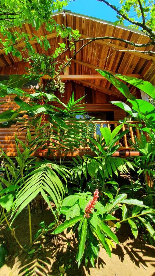 Arenal Rustic Lodge Алахуела Екстер'єр фото