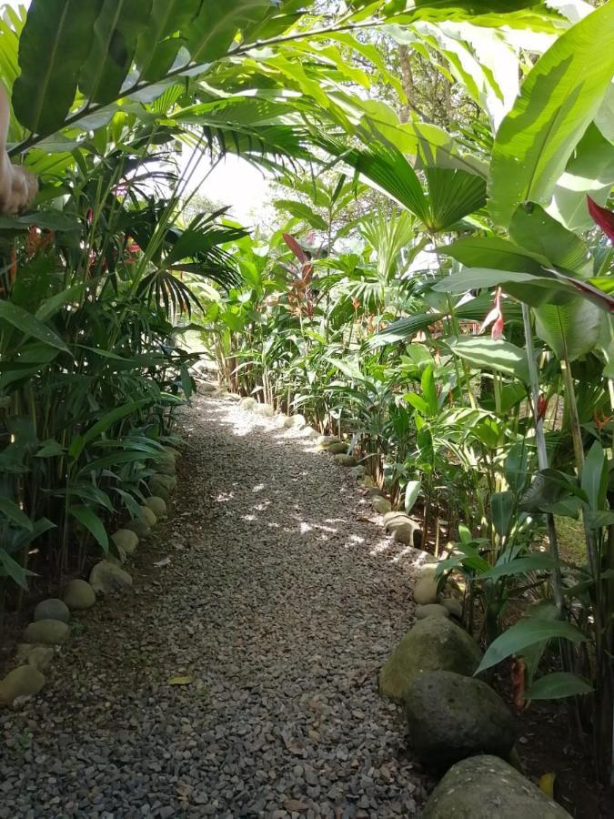 Arenal Rustic Lodge Алахуела Екстер'єр фото